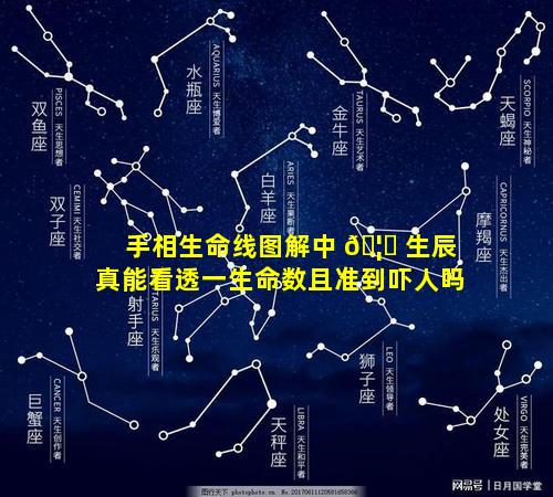 手相生命线图解中 🦍 生辰真能看透一生命数且准到吓人吗